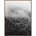Black And White Foggy Pine Forest In Winter By Michael Schauer 32 X 42 In. Framed Canvas Wall Art Print