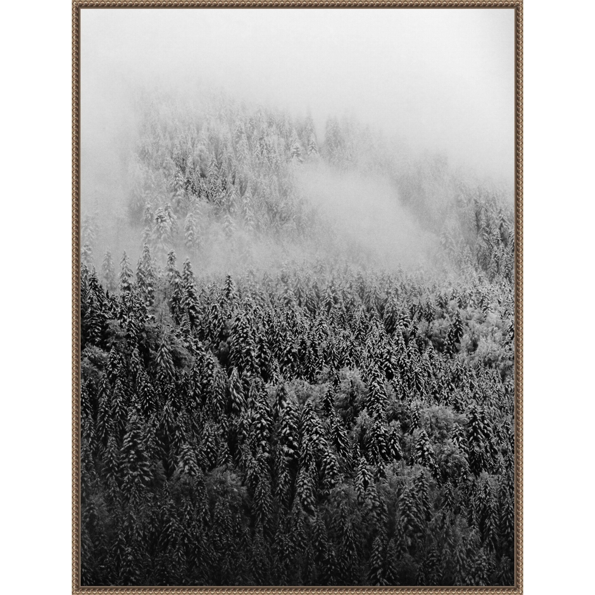 Black And White Foggy Pine Forest In Winter By Michael Schauer 32 X 42 In. Framed Canvas Wall Art Print