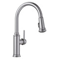 Blanco Empressa 1.5 Gpm Kitchen Faucet With Pull Down Spray