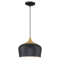 Blend 1 Light Black With Wood Grain Pendant