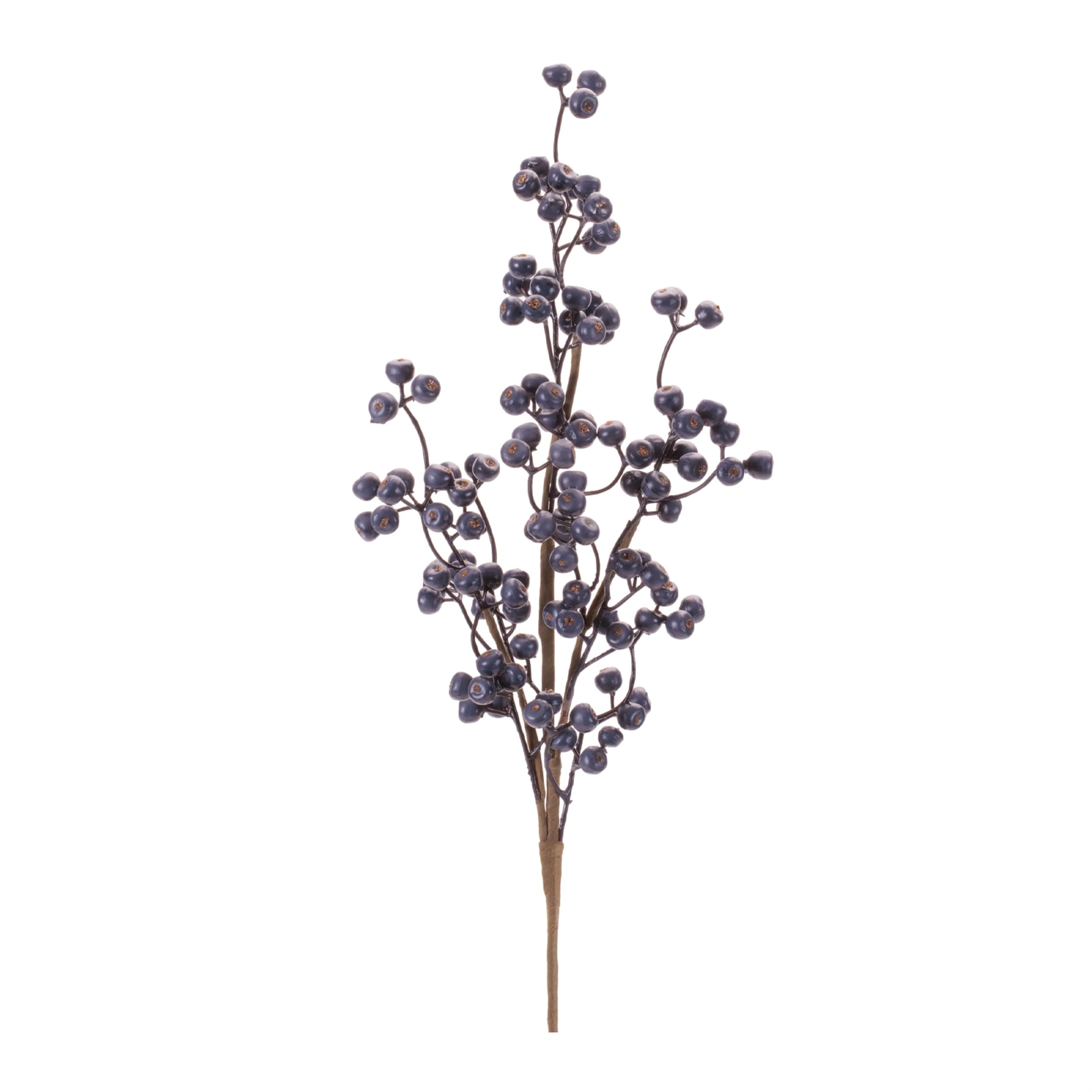 Blue Berry Branch Set Of 4