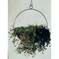 Blue Moon Planter