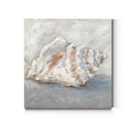 Blue Shell Study Ii Premium Gallery Wrapped Canvas Ready To Hang