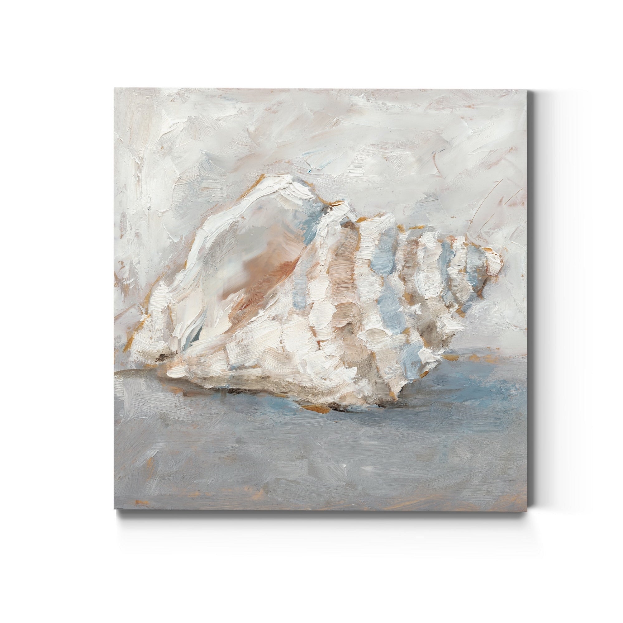 Blue Shell Study Ii Premium Gallery Wrapped Canvas Ready To Hang