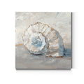 Blue Shell Study Iii Premium Gallery Wrapped Canvas Ready To Hang
