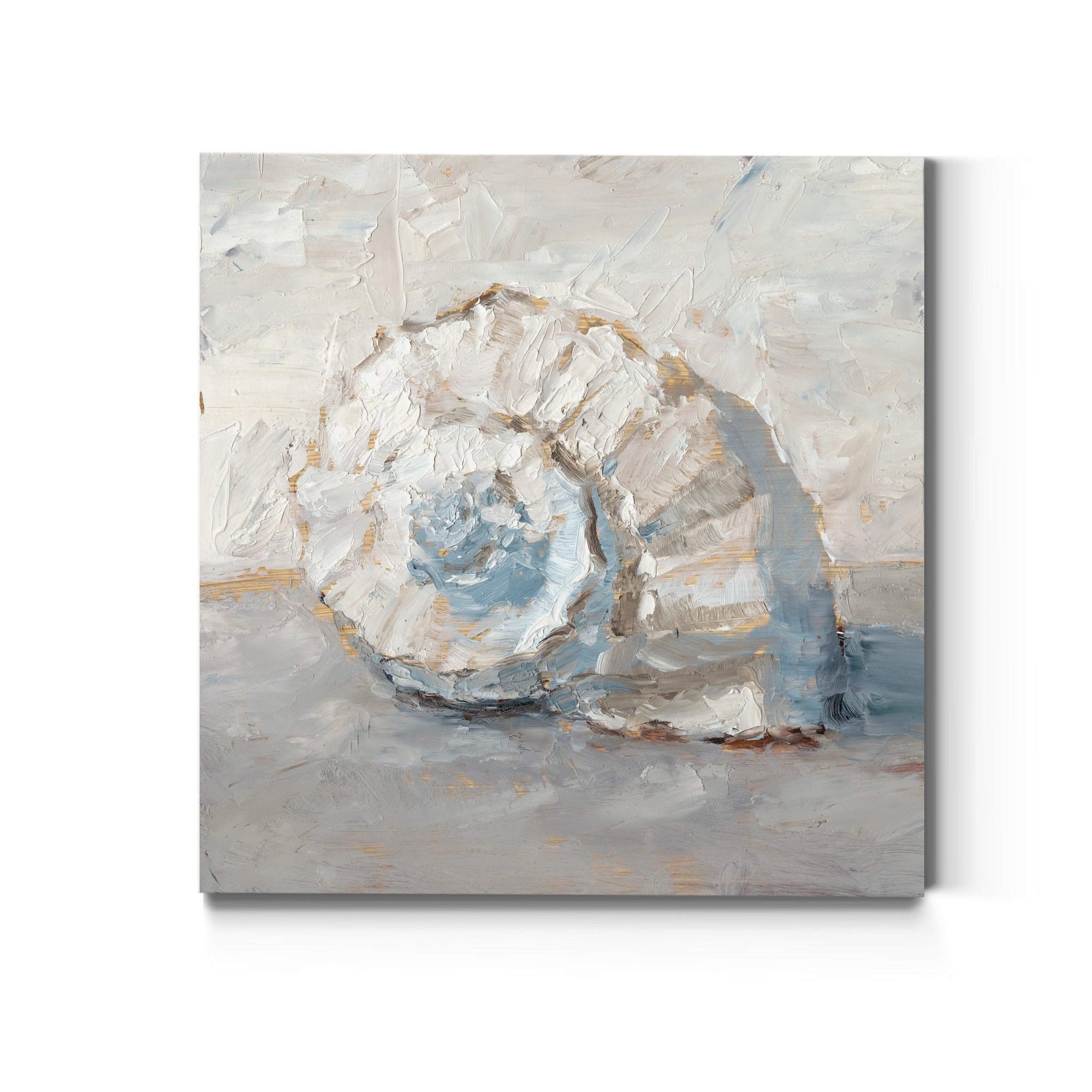 Blue Shell Study Iii Premium Gallery Wrapped Canvas Ready To Hang