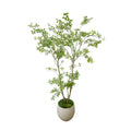 Bonsai Tree In Fiberstone Planter 87