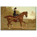 Book Of The Horse Gallery Wrapped Canvas Art