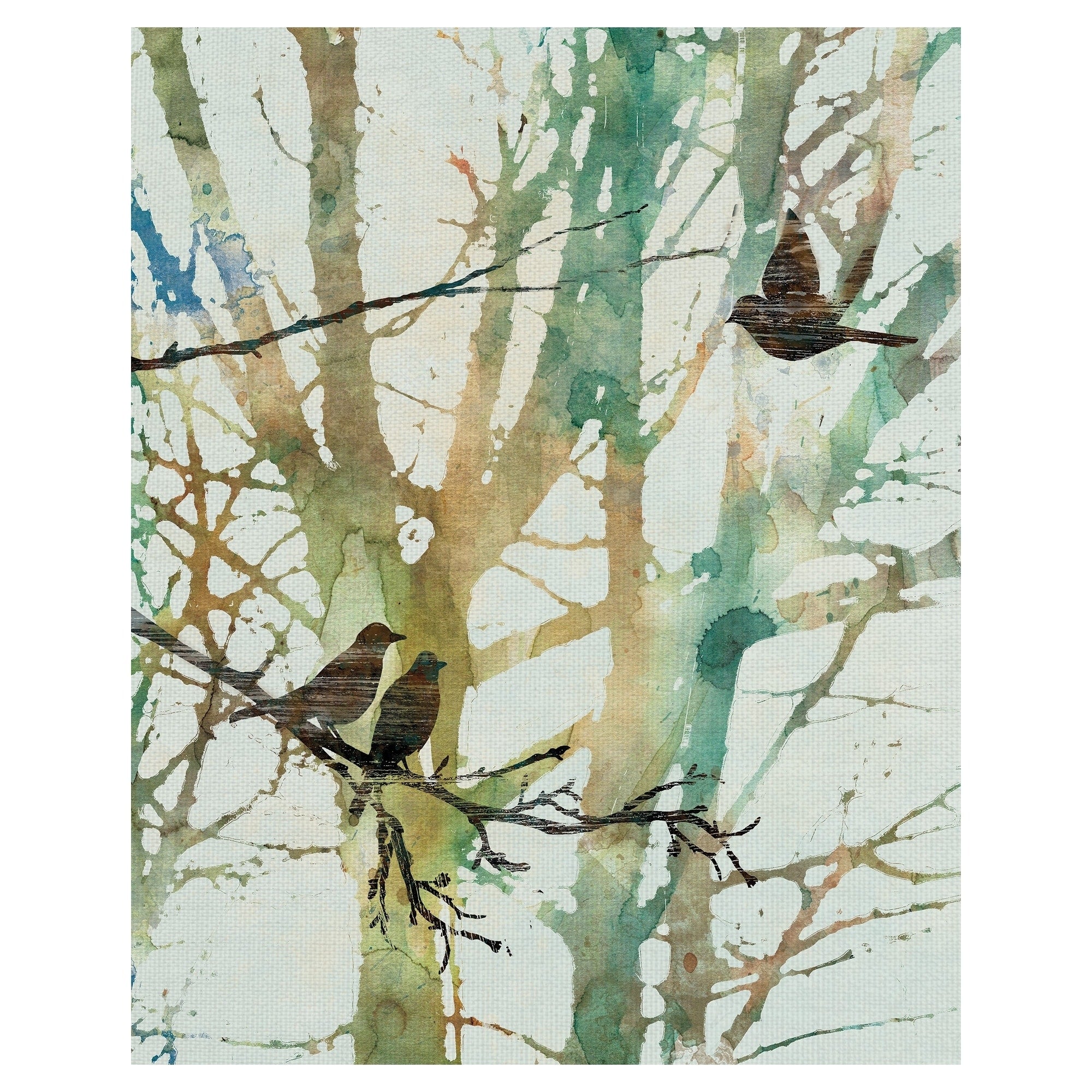 Botanical Birds I By Carol Robinson Wrapped Canvas Art Print