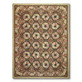 Botanical Classic Asmara Needlepoint Aubusson Area Rug Multi