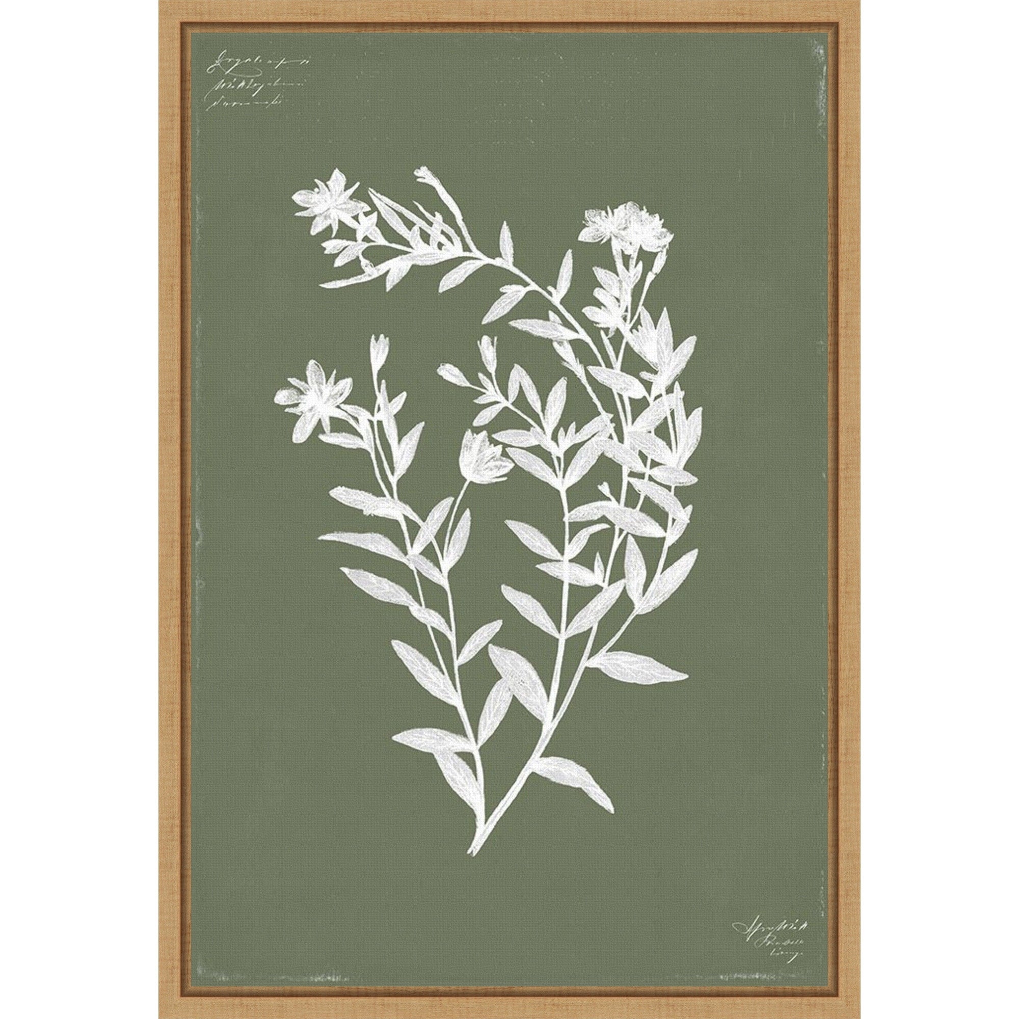 Botanical Garden Iii By Pi Studio Framed Canvas Wall Art Print
