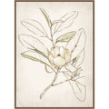 Botanical No. 1 By Alex Black Framed Canvas Wall Art Print