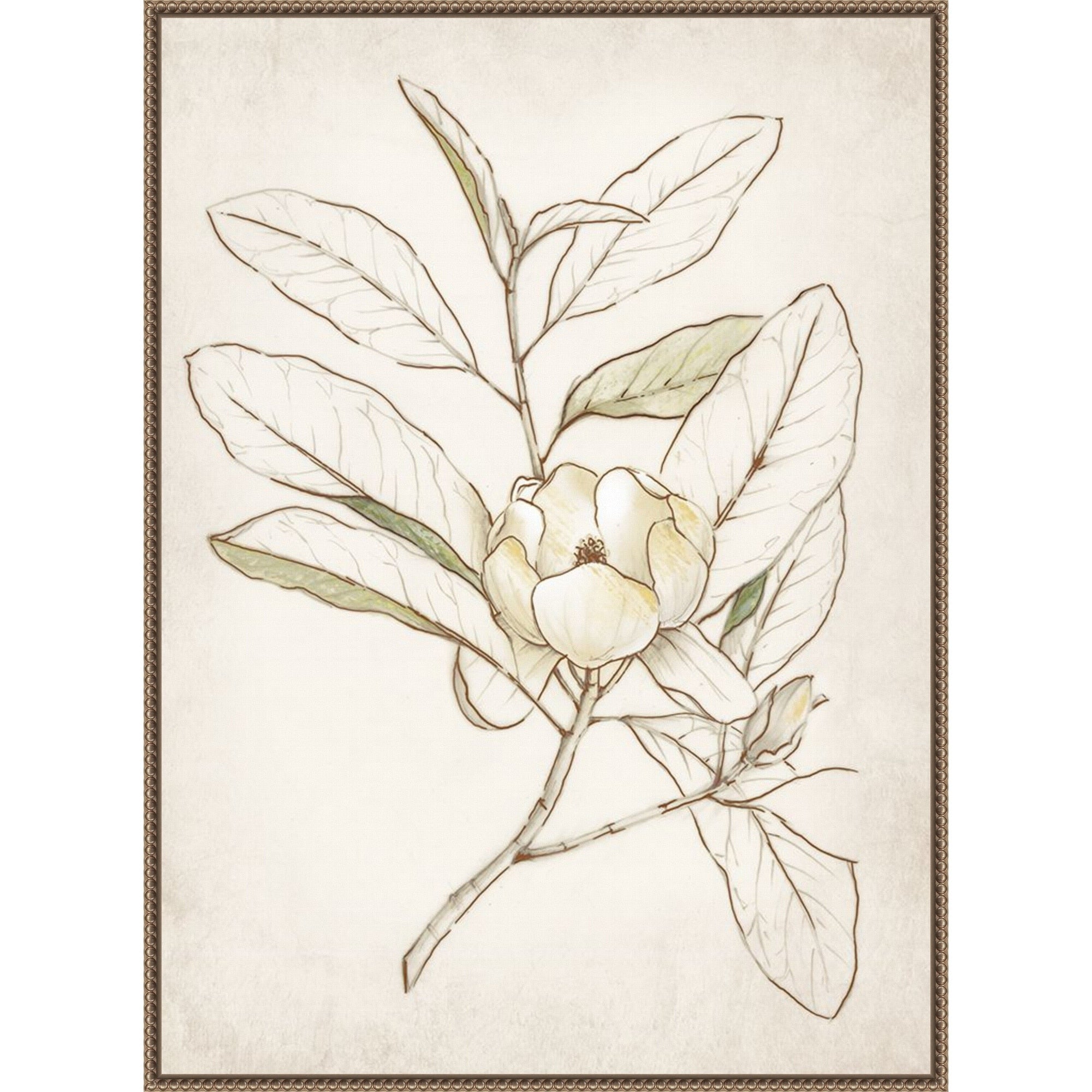 Botanical No. 1 By Alex Black Framed Canvas Wall Art Print