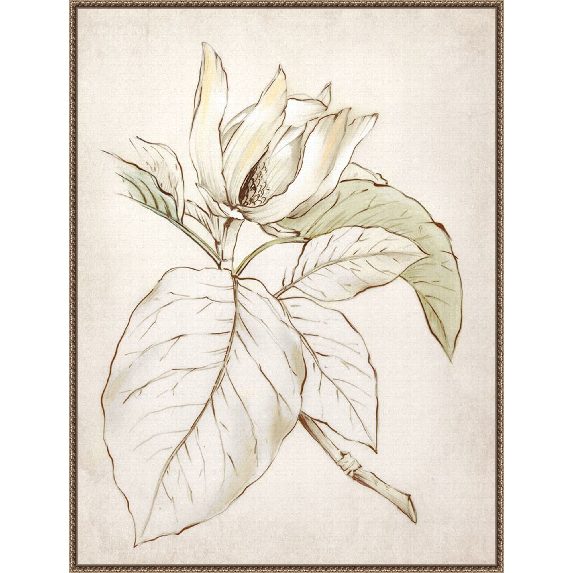 Botanical No. 2 By Alex Black Framed Canvas Wall Art Print