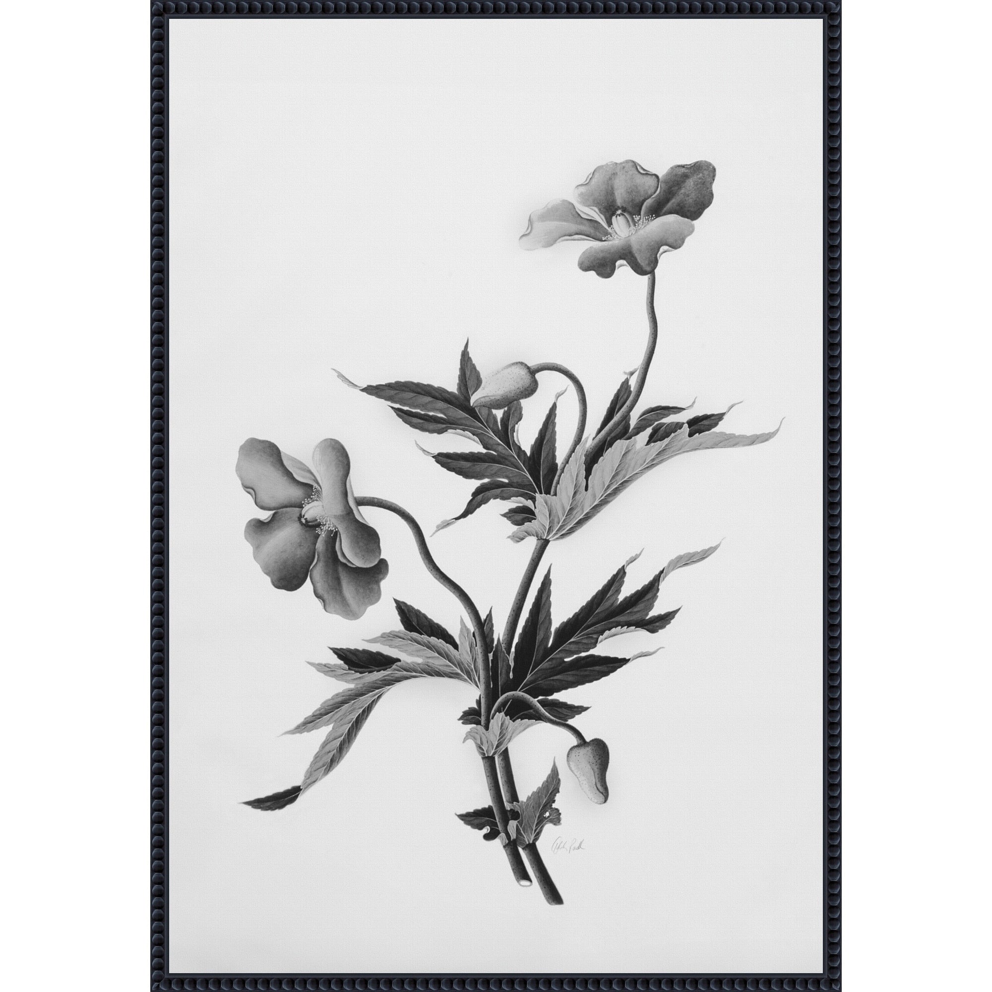 Botanical No. 2 By Deborah Revell Framed Canvas Wall Art Print