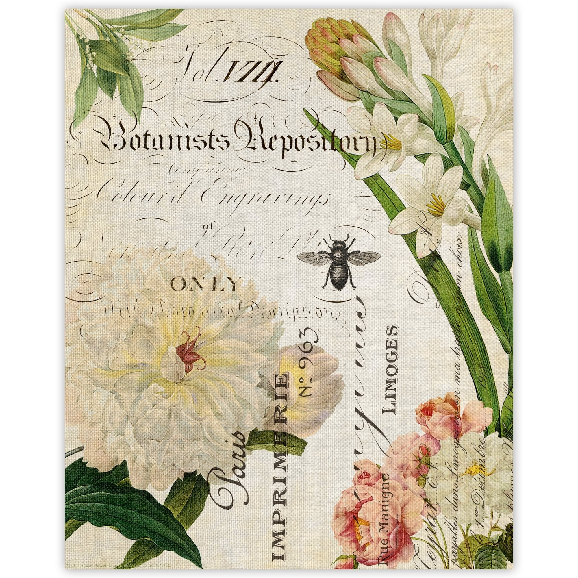 Flower And Bee Botany Collage Ii By Stacey Powell Wrapped Canvas Art