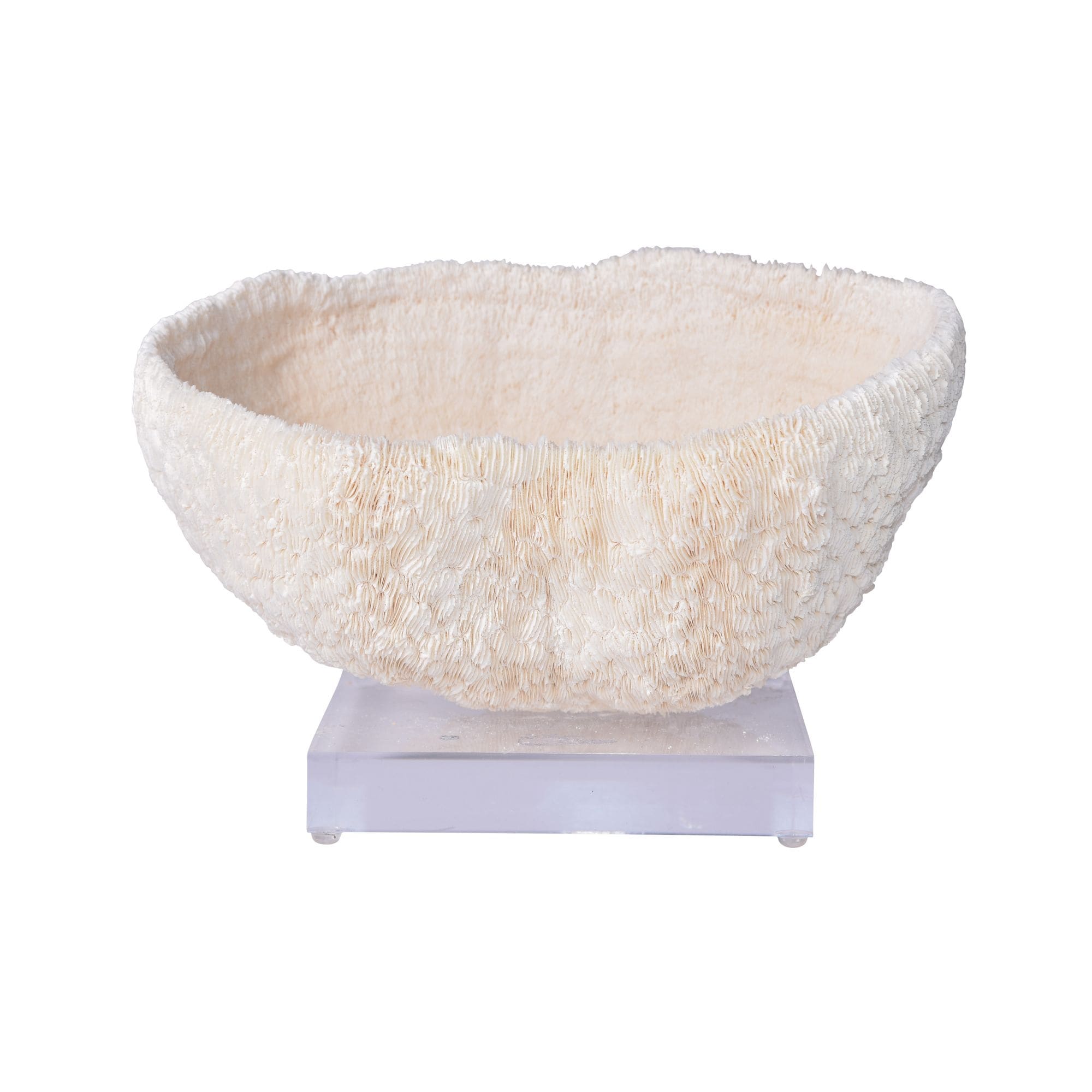 Bowl Coral 10 12 Inch On Acrylic Base