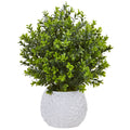 Nearly Natural Boxwood In White Vase Indoor Outdoor