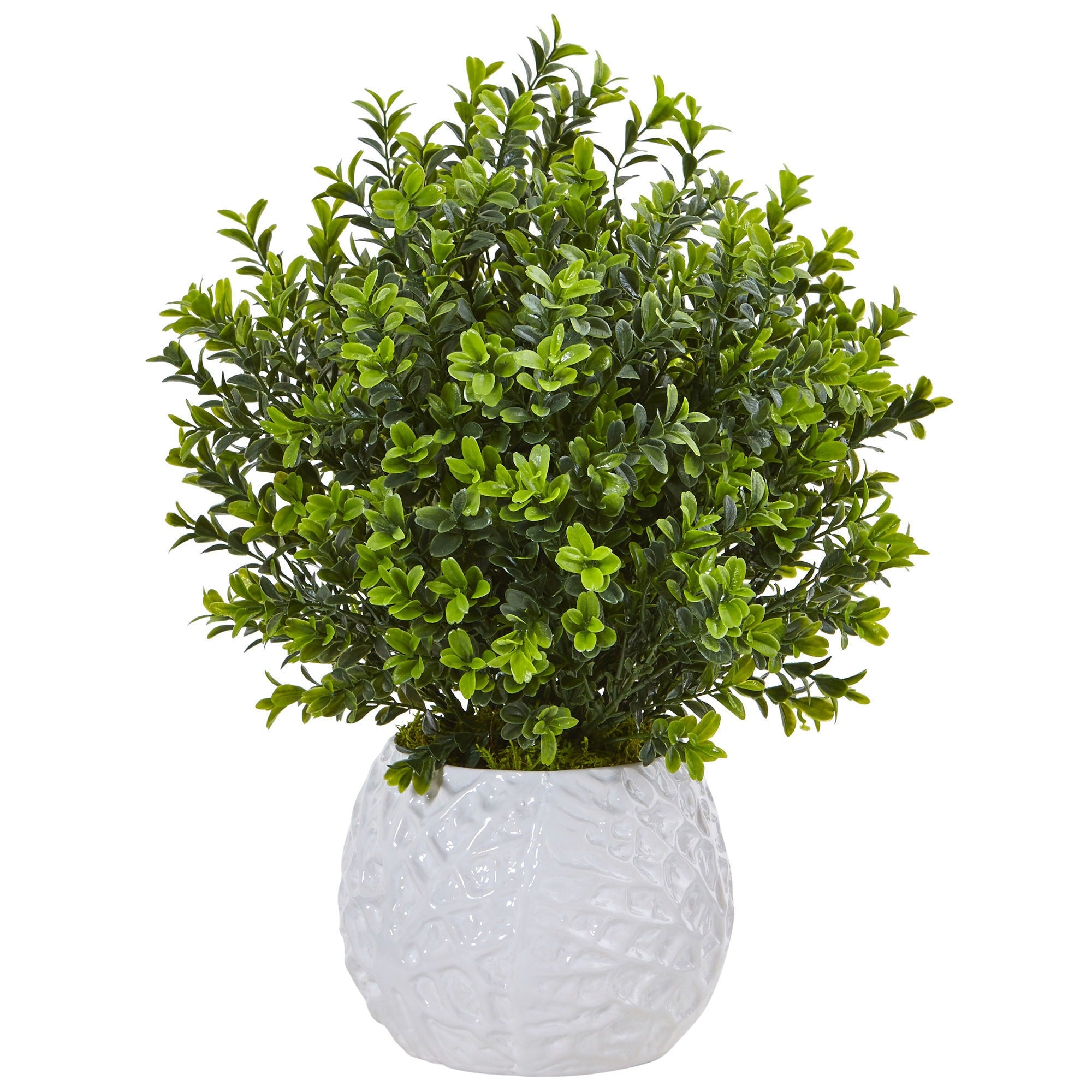 Nearly Natural Boxwood In White Vase Indoor Outdoor