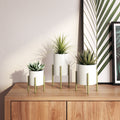 Brevyn Small Mid Century Modern Planters Set Of 3 N A