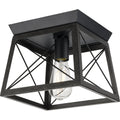 Briarwood Collection 1 Light Black Farmhouse Flush Mount Ceiling Light 9.5 In X 9.5 In X 7.625 In