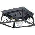 Briarwood Collection 2 Light Cerused Black Flush Mount Ceiling Light 12 In X 12 In X 6 In