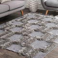 Nuloom Silver Soft And Plush Abstract Modern Basel Raised Area Rug 5 X 8
