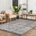 Nuloom Gray Traditional Classical Lavish Versaille Blooming Ombre Faded Frame Area Rug 67 X 9