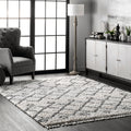 The Gray Barn Dennis Hollow Geometric Trellis Tassel Shag Area Rug