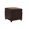 Brown Bi Cast Leather Storage Ottoman