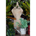 Studio 350 Ps Frog 17 Inches Wide 27 Inches High