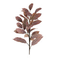 Brown Leaf Spray Set Of 4