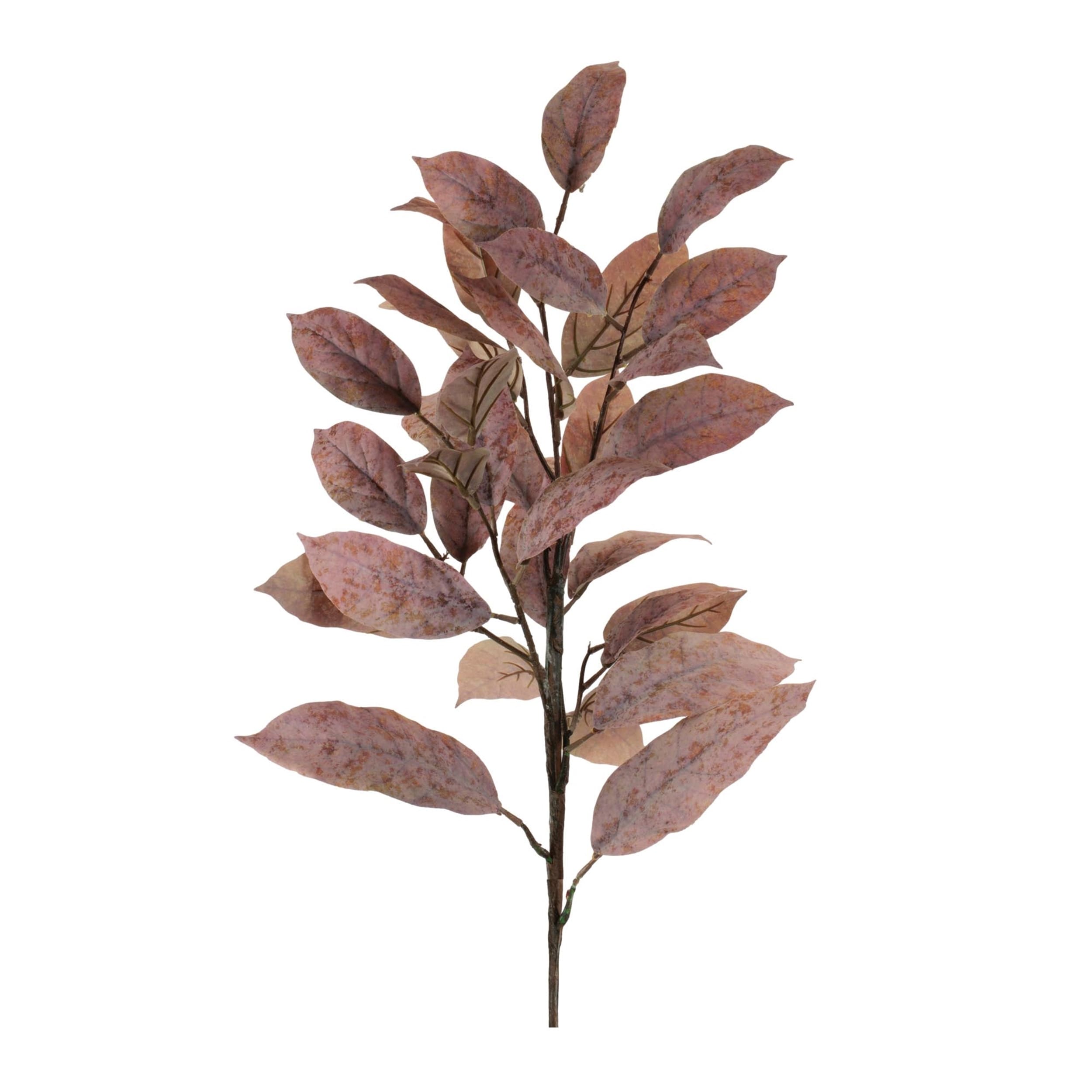 Brown Leaf Spray Set Of 4