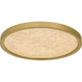 Brushed Gold Led Flush Mount From The Outskirts Collection