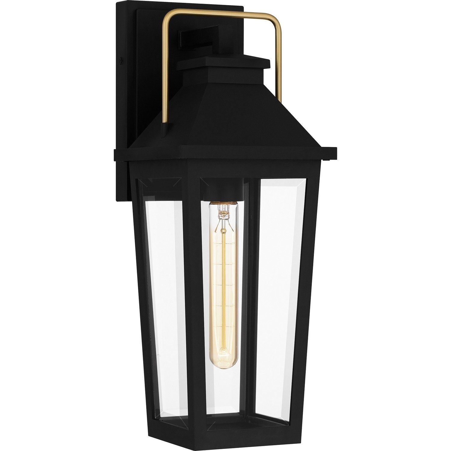 Buckley 1 Light Outdoor Wall Mount In Matte Black