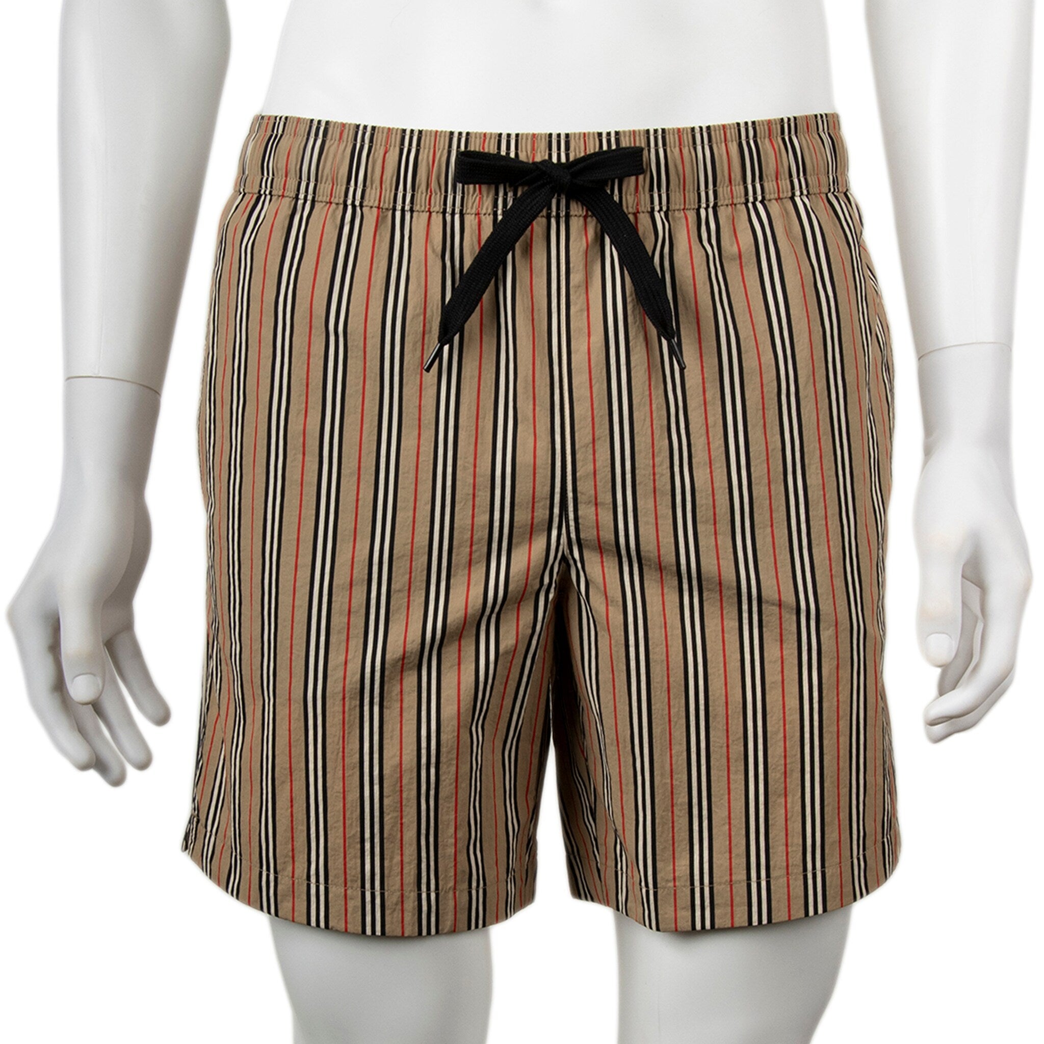 Burberry Mens Martin Swim Trunks