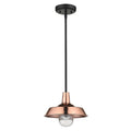 Burry 1 Light Copper Exterior Convertible Pendant