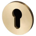 Buster Punch Nes 051887 2 1 4 Euro Key Trim Plates Brass