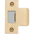 Buster Punch Uds 051776 2 Standard T Strike Plate Brass