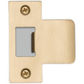 Buster Punch Uds 051782 2 3 16 Extended T Strike Plate Brass