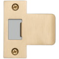 Buster Punch Uds 051788 2 1 2 Extended T Strike Plate Brass