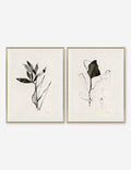 Noir I & II Print (Set of 2) by Yuki Osada