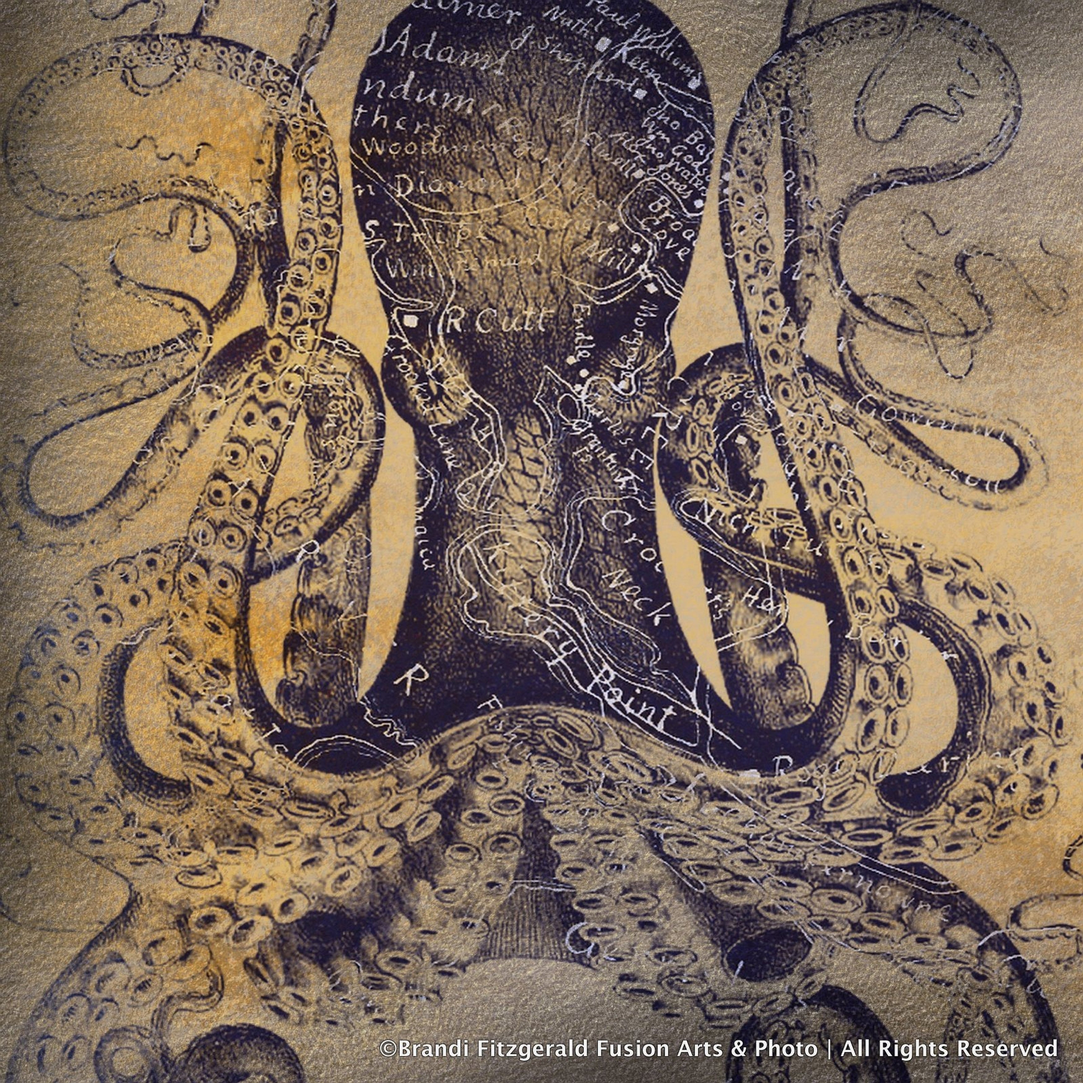 Canvas Blue Translucent Octopus By Brandi Fitzgerald Graphic Art