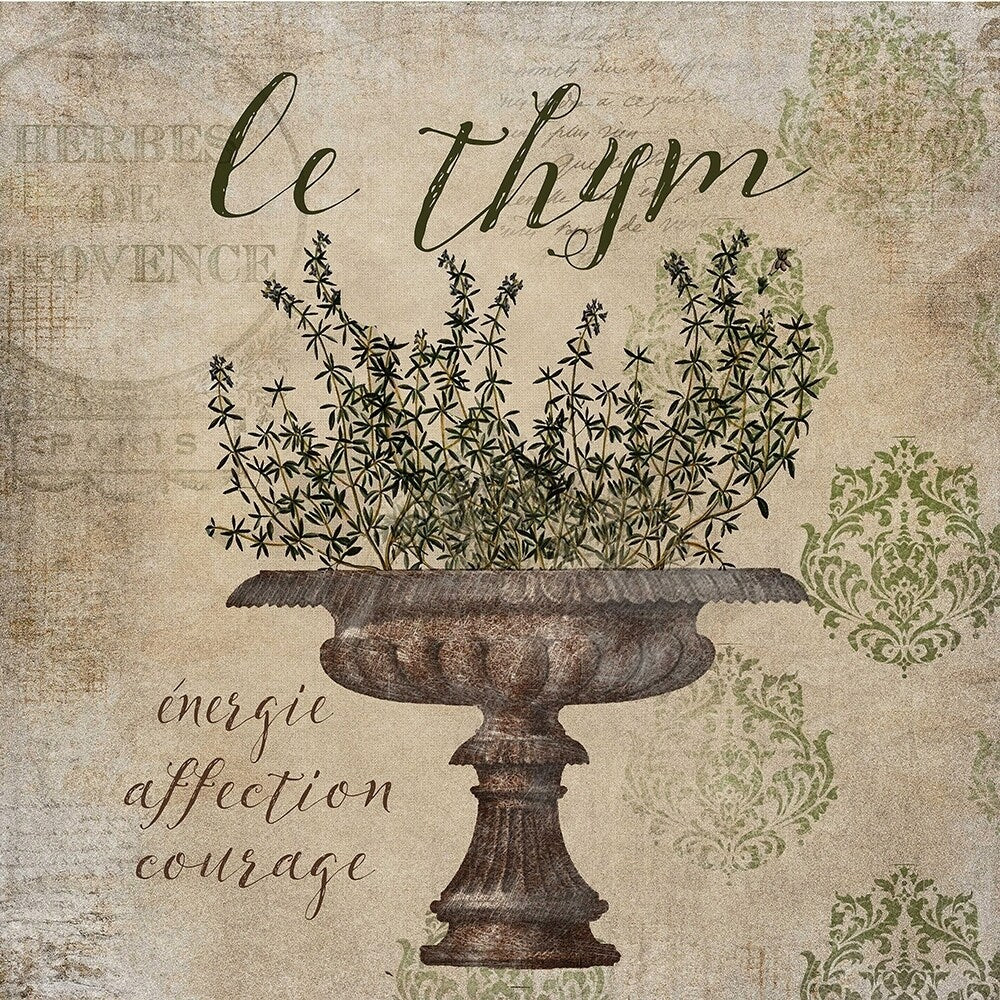 Canvas French Herbs Thyme By Beth Albert