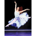 Canvas Heavenly Dancer By Karl Black Graphic Art