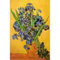 Canvas Les Iris By Vincent Van Gogh 36X24 Art Painting Reproduction