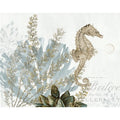 Canvas Natural Seahorse By Stacey Powell Graphic Art