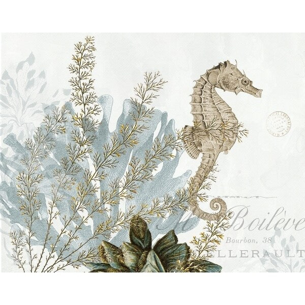 Canvas Natural Seahorse By Stacey Powell Graphic Art