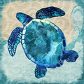 Canvas Sea Turtle By Jill Meyer Graphic Art