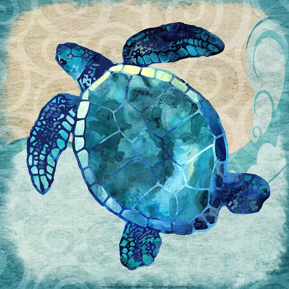 Canvas Sea Turtle By Jill Meyer Graphic Art